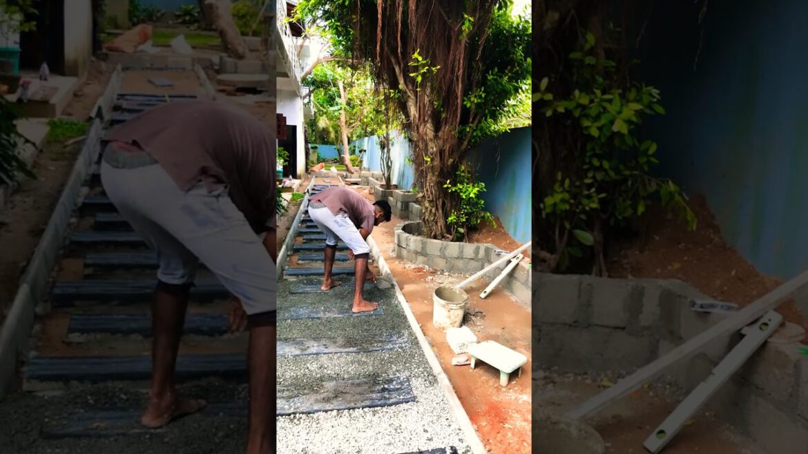 Garden Tips 😍😍#satisfying #shorts #shortvideo #viral