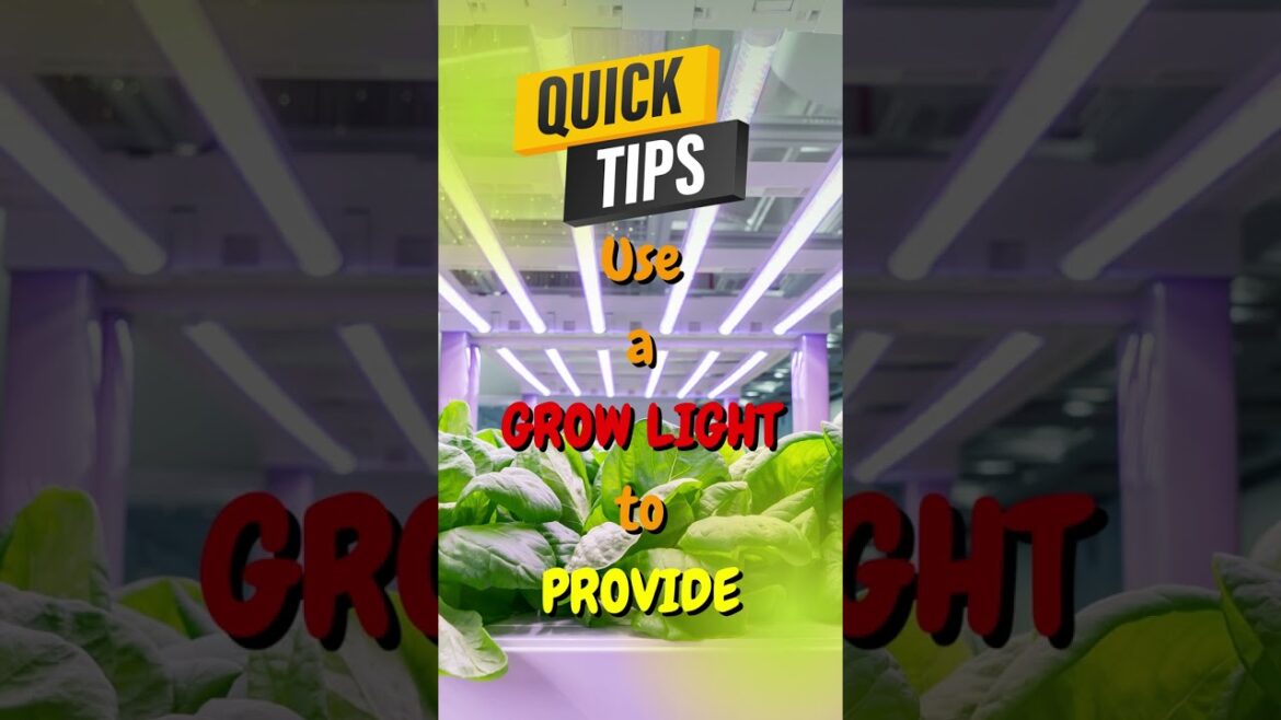 👉 FREE Gardening Hacks and QUICK TIPS # 36 🌱 @RockyMountainBioAg