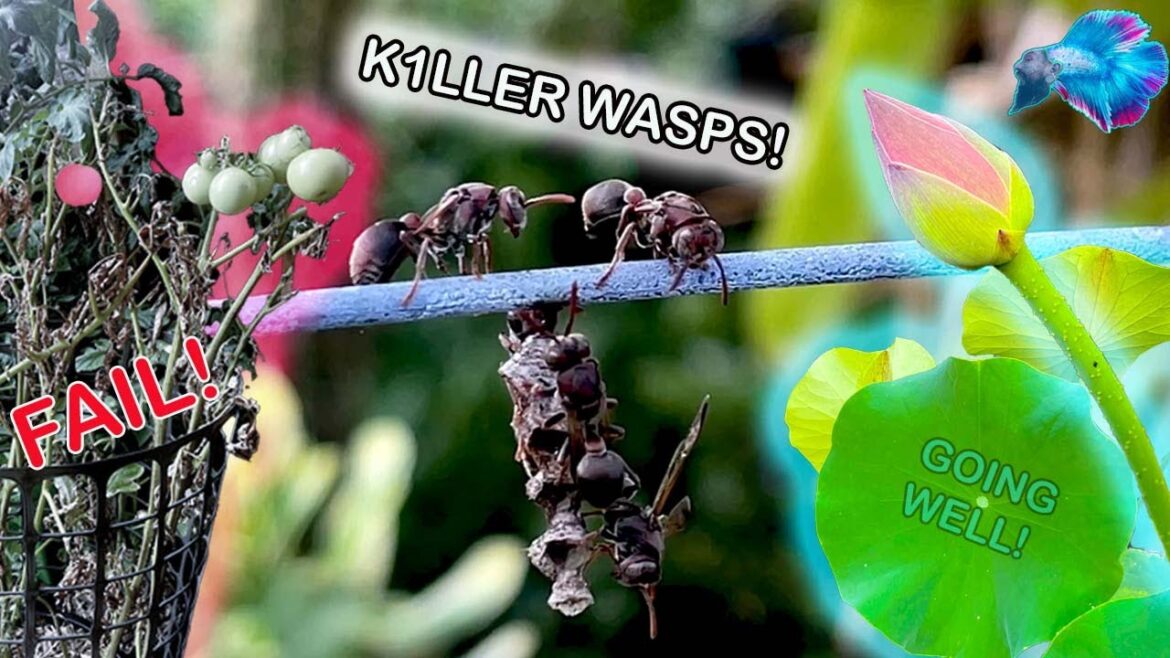 HOME GARDEN TOUR - A WIN AND A FAIL!