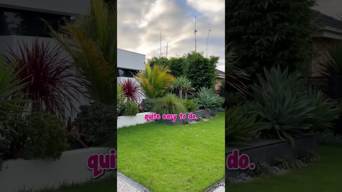 Our Free Garden Design service sets us apart. Make a Booking today!💻📅👍