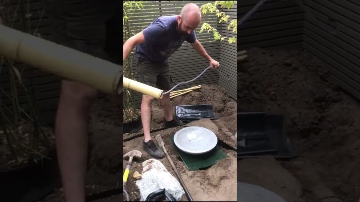 How to Transform Your Garden into a Japanese Paradise | Japanese garden idea