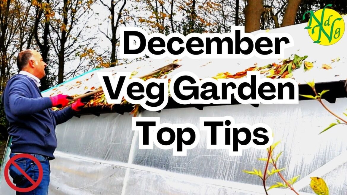 Ultimate December Gardening Tips: Clear, Compost, and Cover!