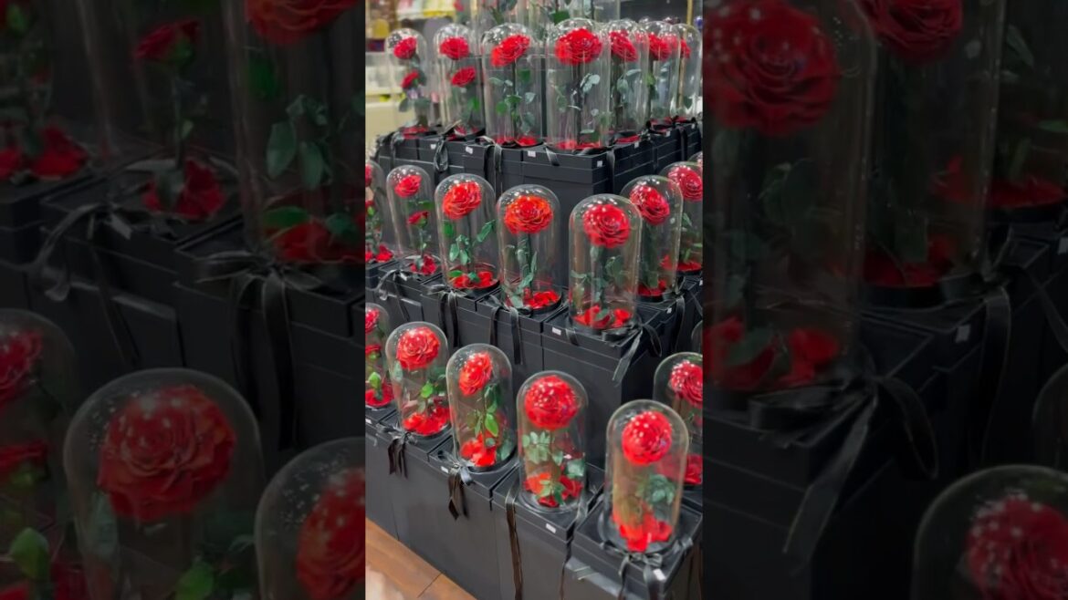 🌹🌹🌹✅💥 | #trending #shorts #video #viral #view #1million