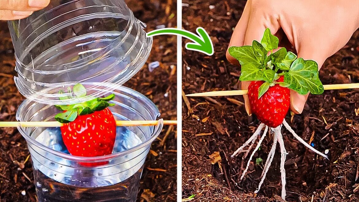 Gardening Hacks: Planting Tips and Tricks 🌱 Gardening Hacks: Planting Tips and Tricks 🌱
