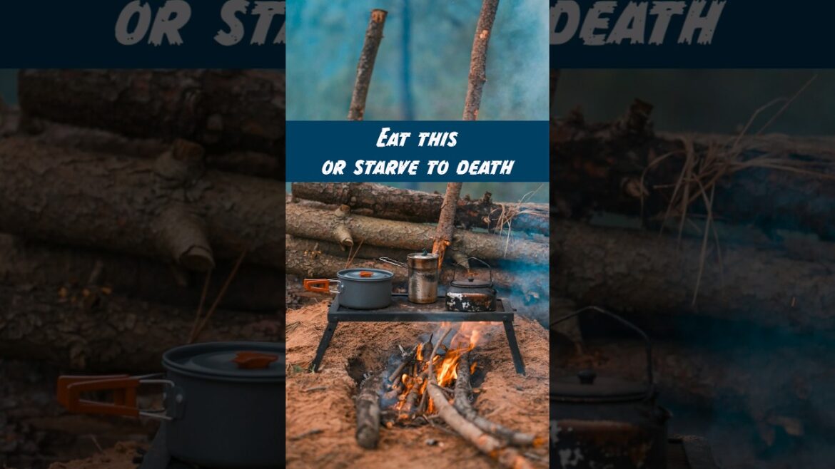 #SurvivalTips: How to Find and Eat Edible Plants in the Wild #SurvivalSkills #EdiblePlants