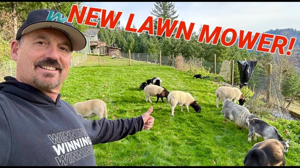 Premier 1 electric net fence quickly turns my yard into a pasture for sheep and goats.