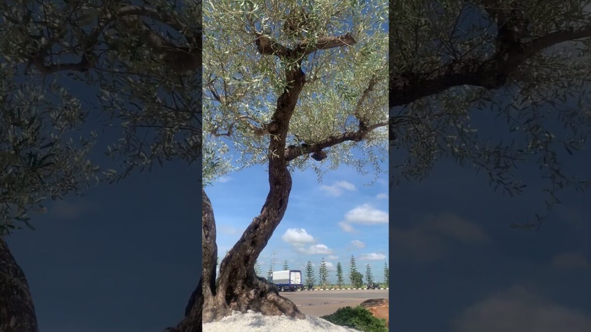 #garden #nature #flowers #gardening #plants #flower #photography #naturephotography #gardendesign #garden #nature #flowers #gardening #plants #flower #photography #naturephotography #gardendesign