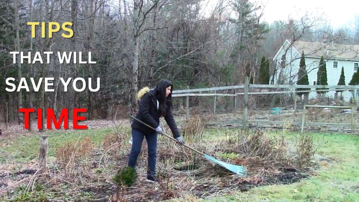 Gardening Tips That Will Save You Time