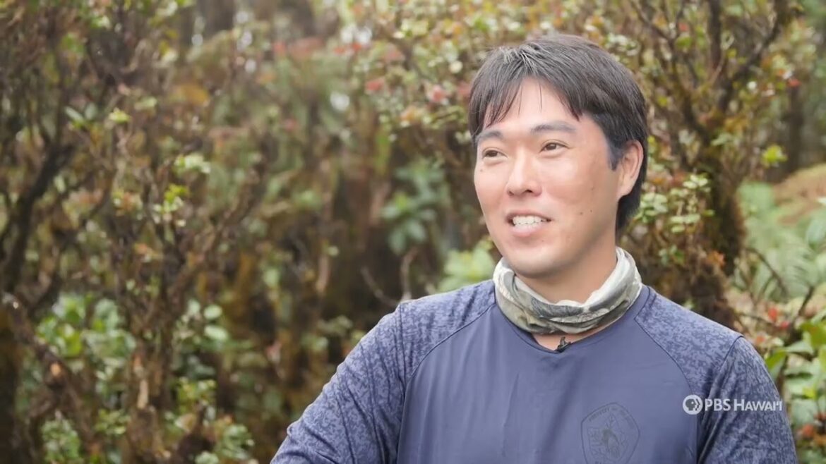 Preserving Hawaiʻi's Native Species Before They Disappear | Home is Here | PBS HAWAIʻI