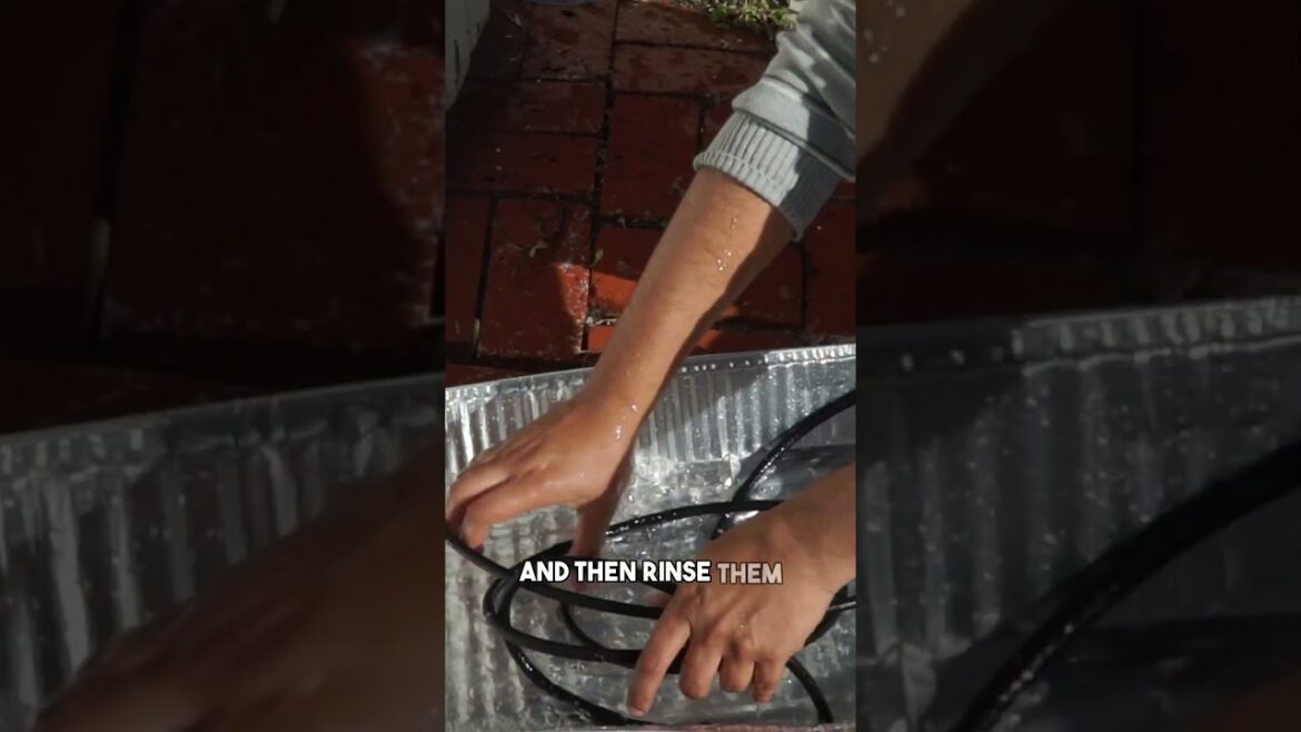 Why Your Drip System Needs a Filter! 🚰🔍 #Shorts