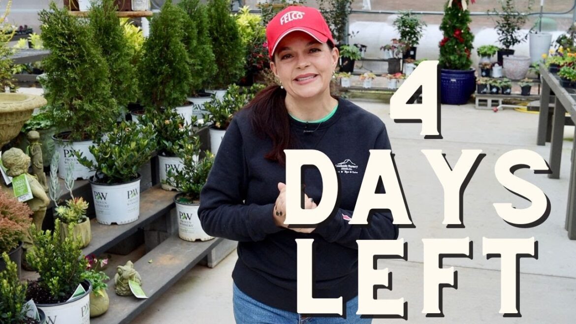 Only 4 Days Left To Visit Creekside in 2023 Only 4 Days Left To Visit Creekside in 2023
