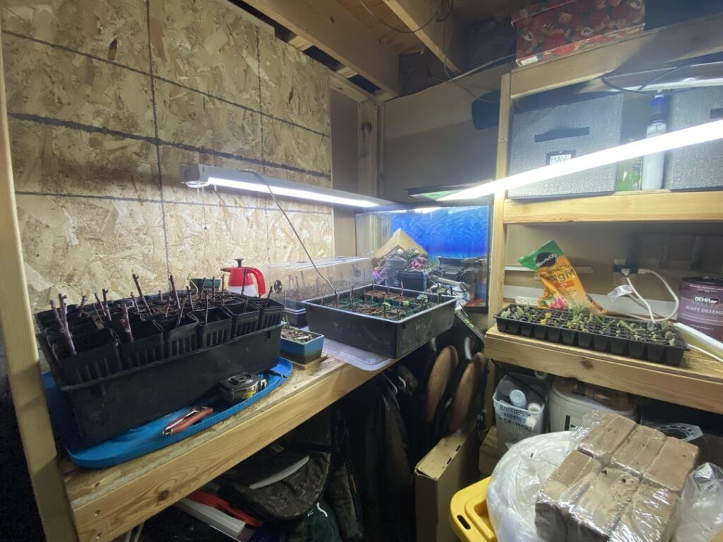 Propagation Station for the Brambles Propagation Station for the Brambles