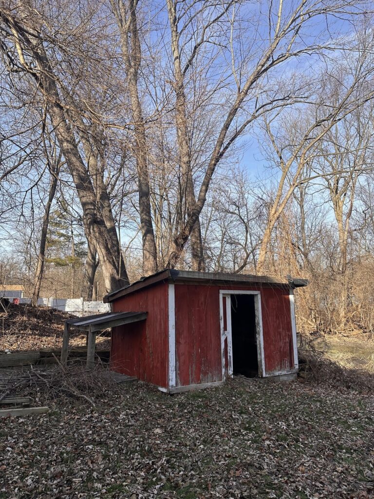 Turning our creepy red shed into a greenhouse 🤞. The plan is to change the roof to clear panels, raise it about two feet. & install windows all around.