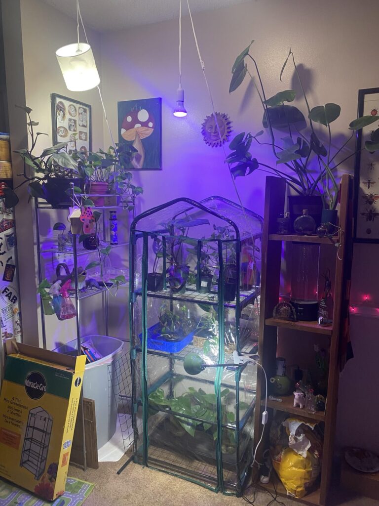 Indoor Greenhouse Indoor Greenhouse