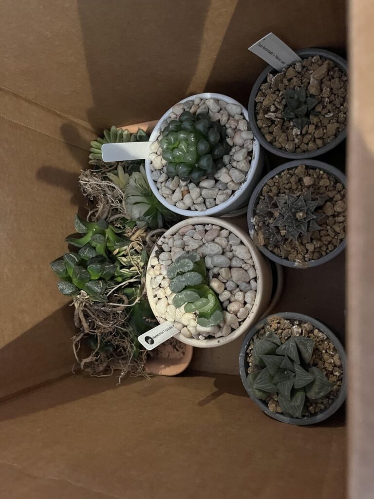 Big repot day!!