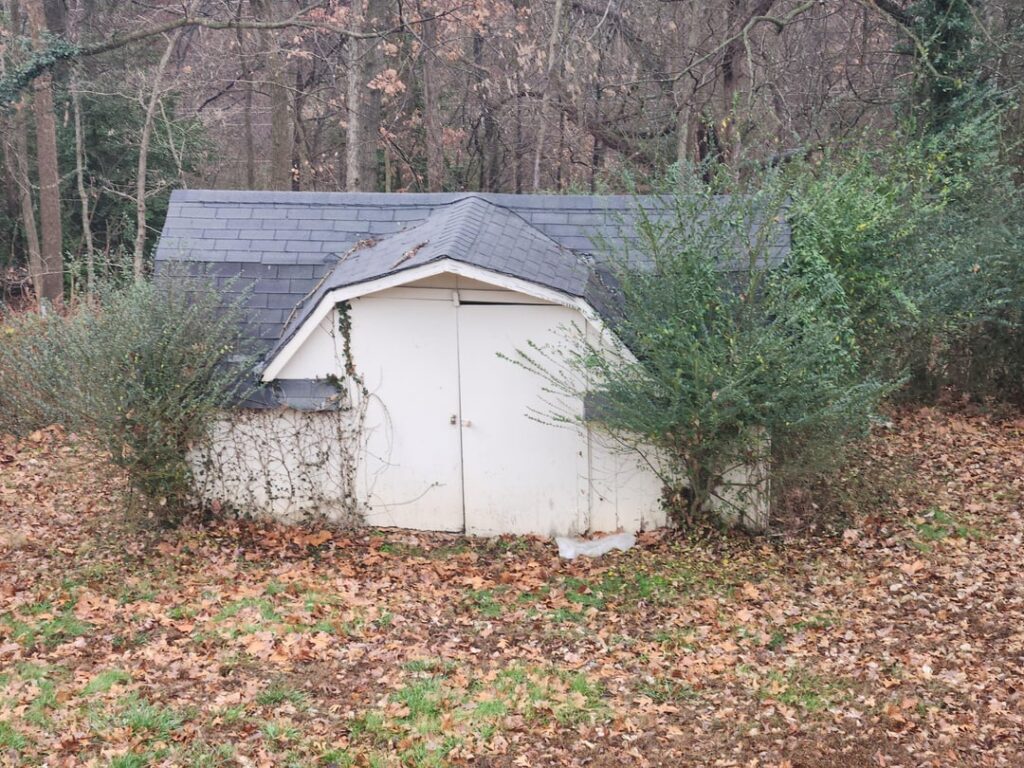 Convert an old shed? Convert an old shed?