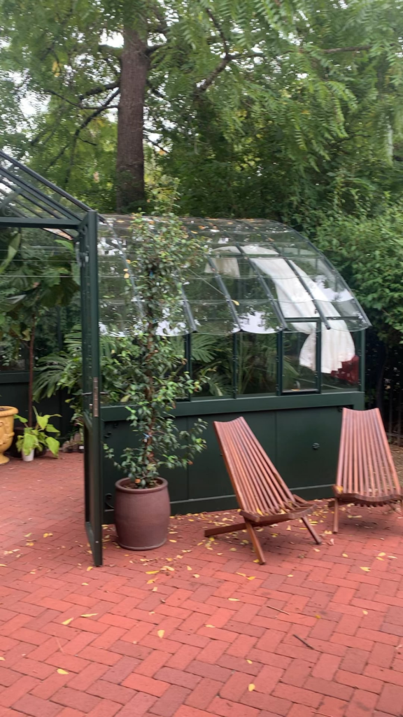 Tropical oasis in the PNW, a year long work in progress!