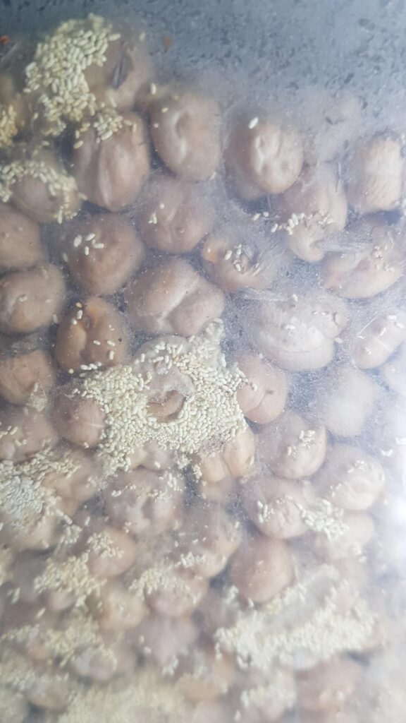 Anyone knows what is this on the chickpeas and kidney beans? Im not sure if rice is affected too