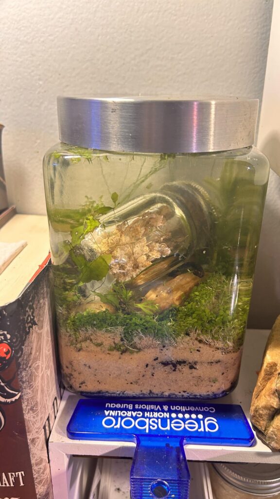 First ecosphere