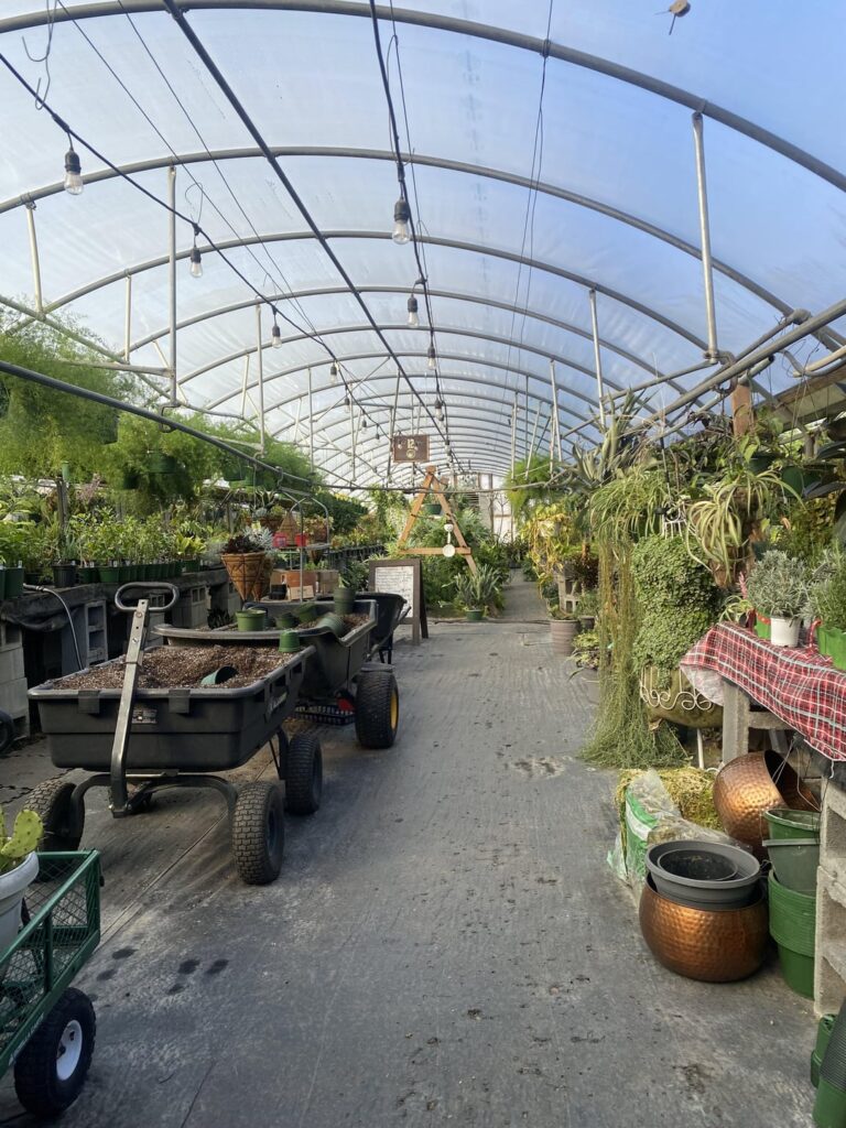 I feel like I’m smelling the earth’s perfume whenever I walk around in here.