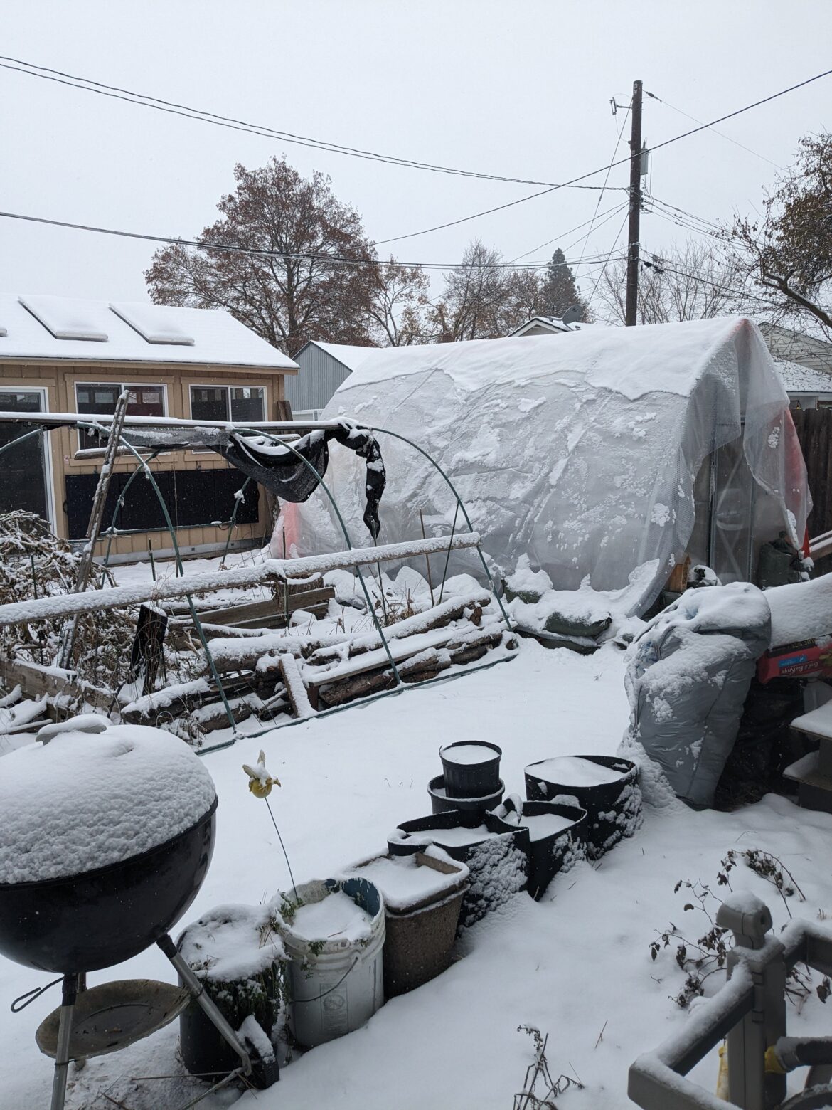 planta with pool cover/concrete tarp, in the snow.