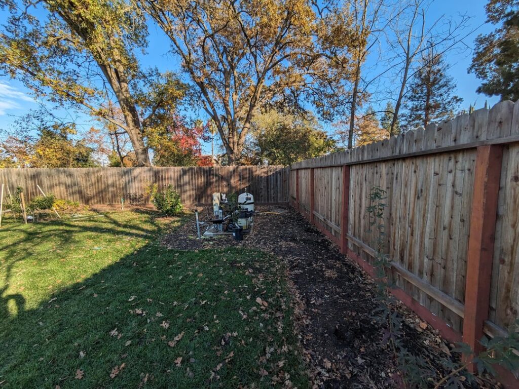 Ideas for a Northern California(Sacramento) zone 9B native evergreen. Ideas for a Northern California(Sacramento) zone 9B native evergreen.