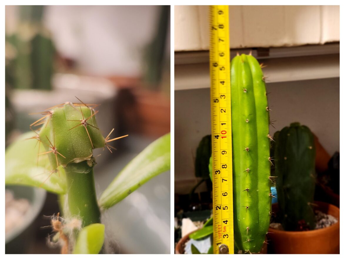 6" in 3 months!