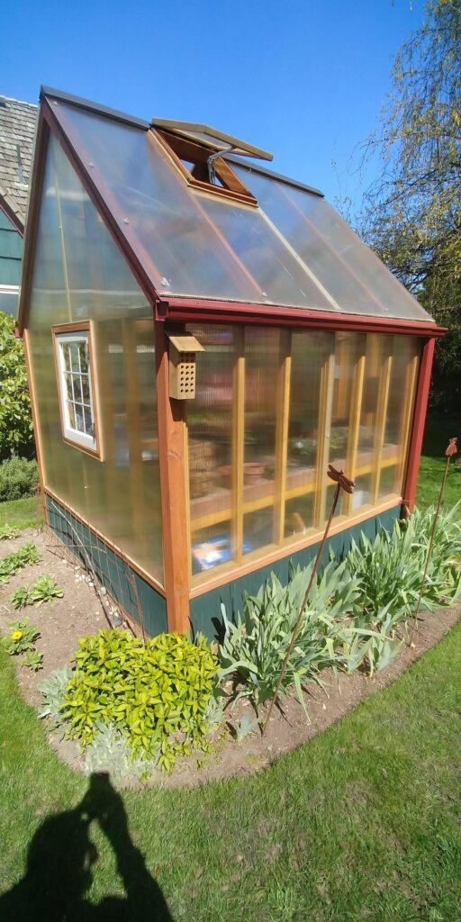 Greenhouse I built for my wife's birthday.