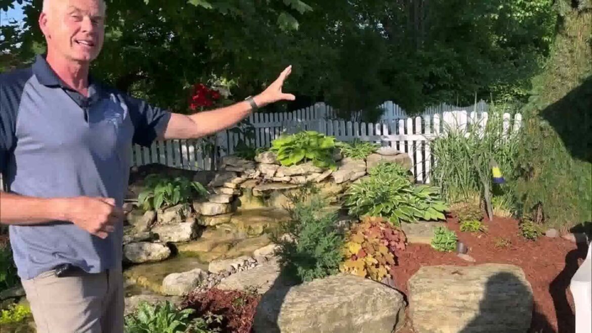 Backyard Landscaping Ideas Evergreen