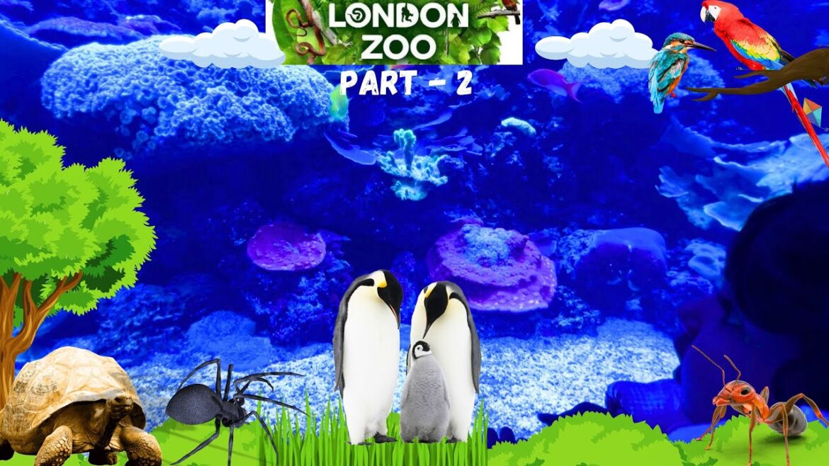 Hidden World -Part 2: Underwater Wonders|Avian Marvels |Tiny Gaints’ Life #viral #trending #uk #cute Hidden World -Part 2: Underwater Wonders|Avian Marvels |Tiny Gaints' Life #viral #trending #uk #cute