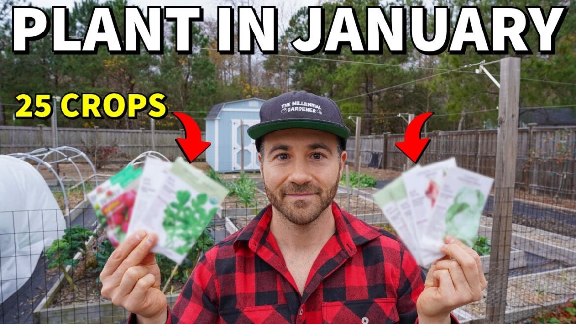 25 Veggies You Can Plant In January RIGHT NOW!