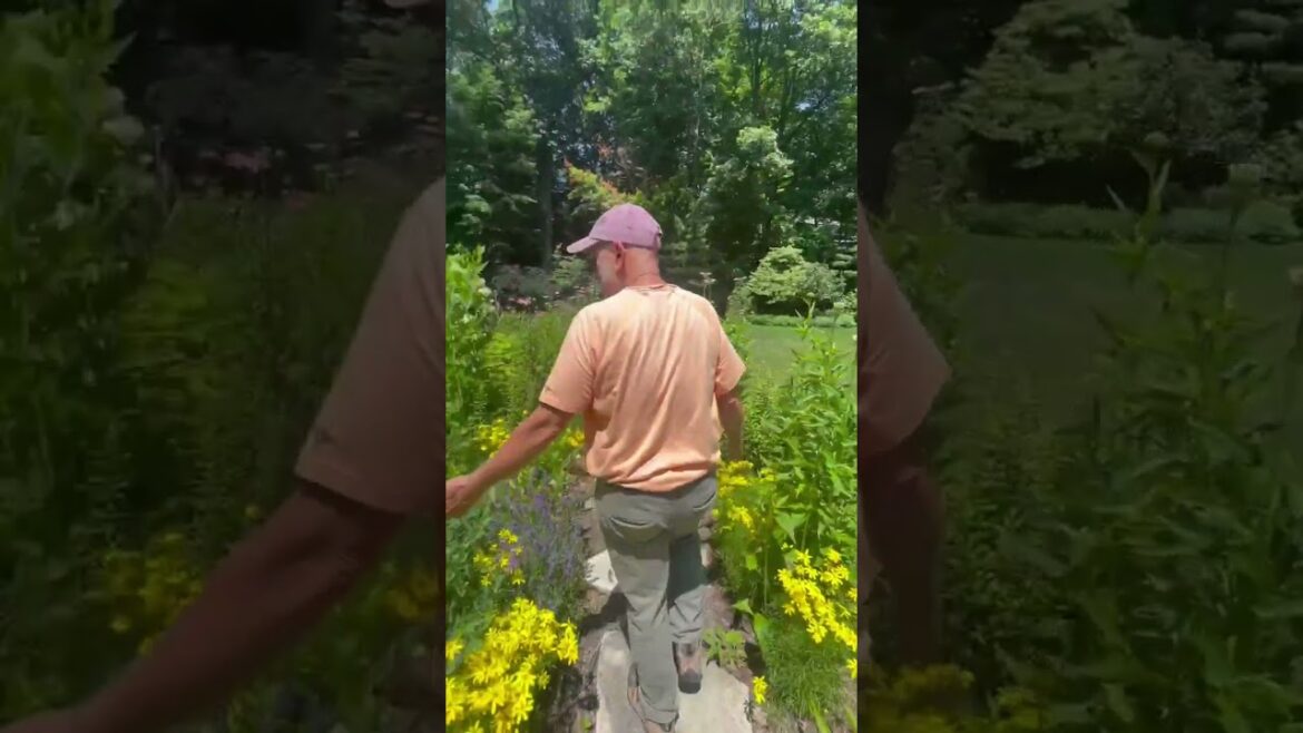 Native Plant 2023 Rewind | 2023 Recap Native Plant 2023 Rewind | 2023 Recap