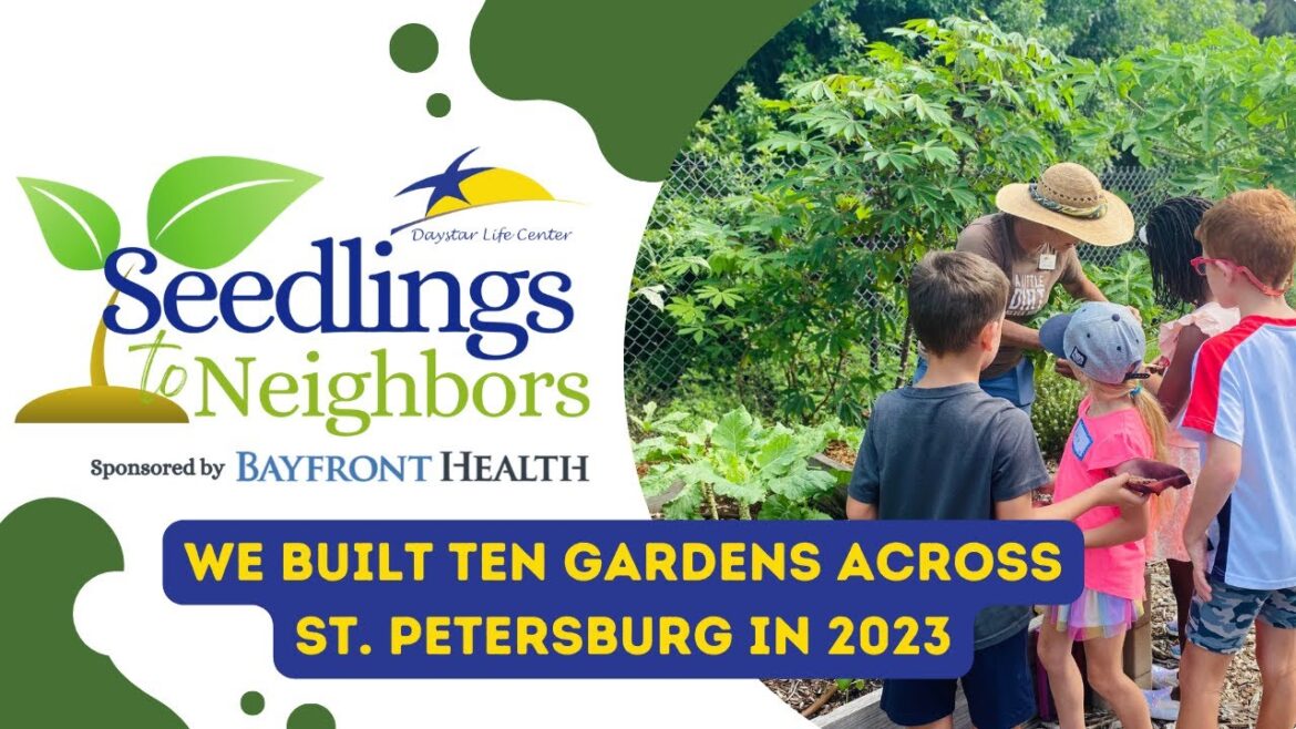 We Built 10 Edible Gardens in St. Petersburg, Florida