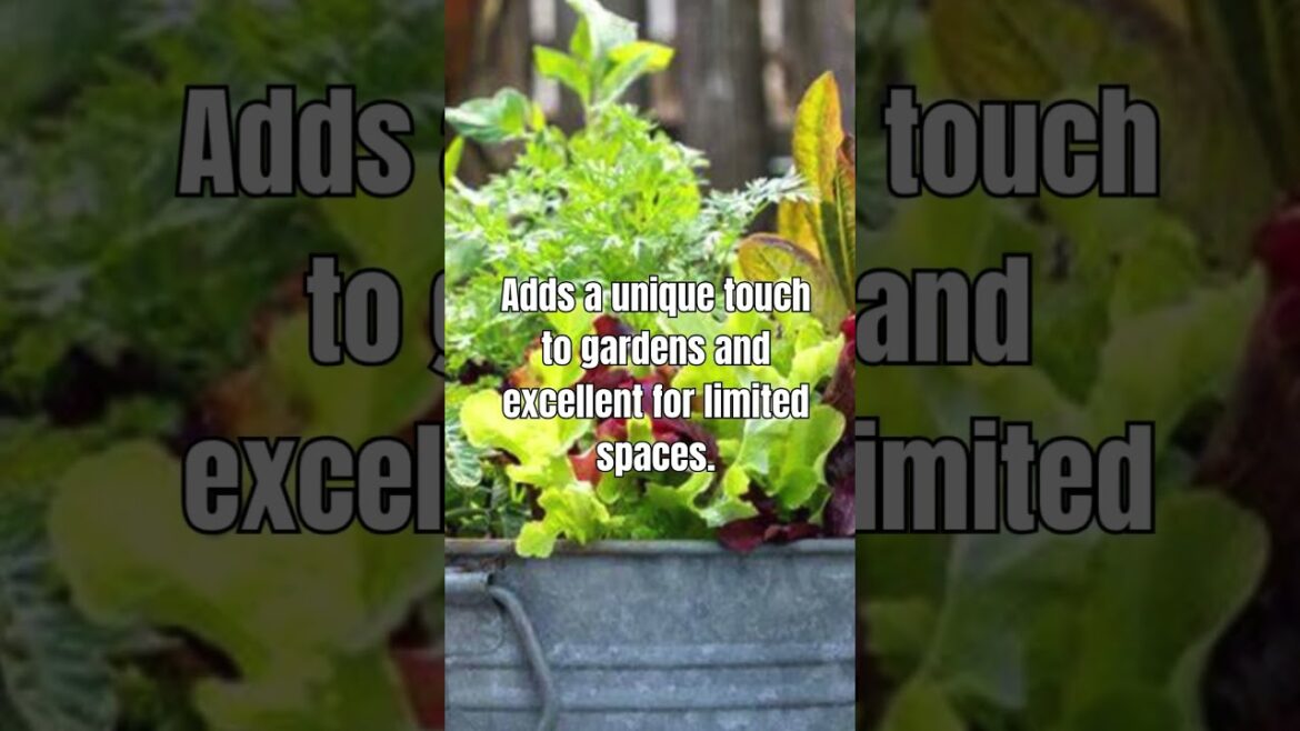 Garden with Flair: Creative Container Gardening | @BuckeyeBloomstead's Unique Ideas