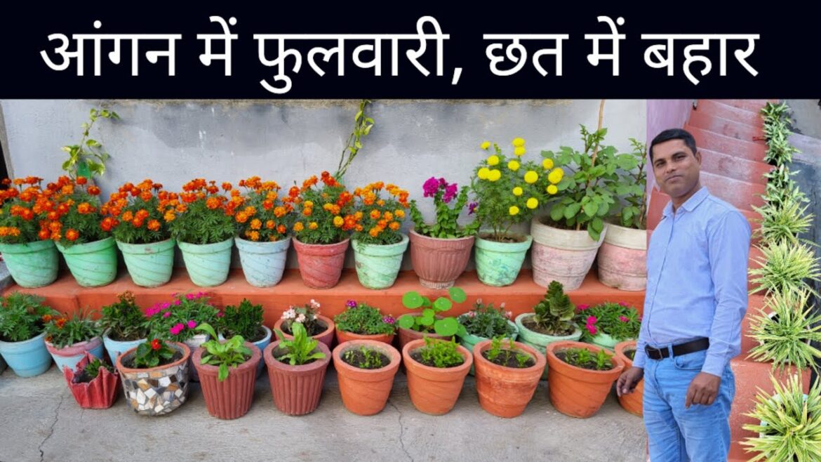 Beautiful Pot Gardening | winter garden Overview with care