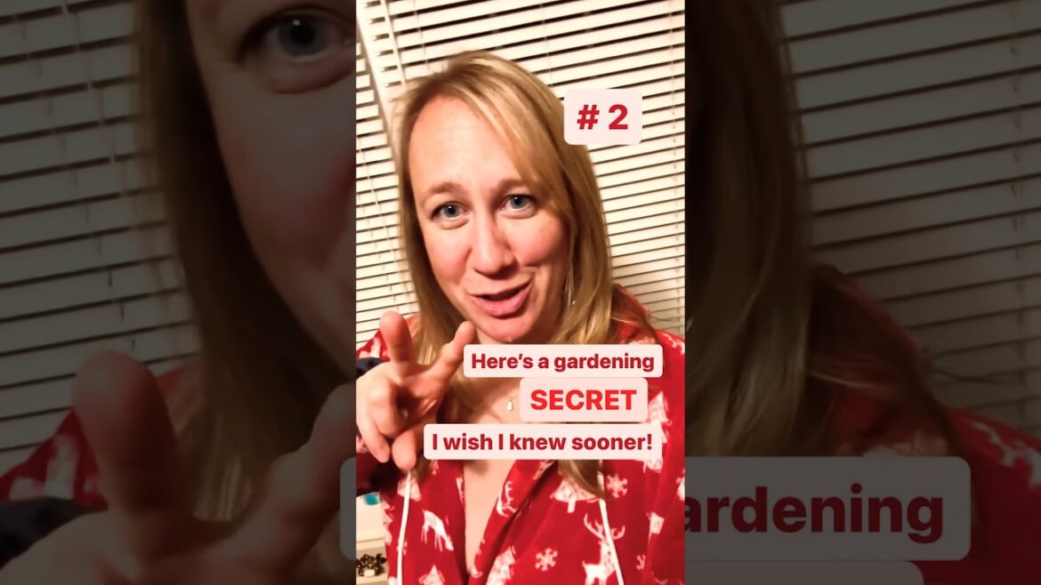 Home Gardening Tips - NEVER pay For Zinnias AGAIN