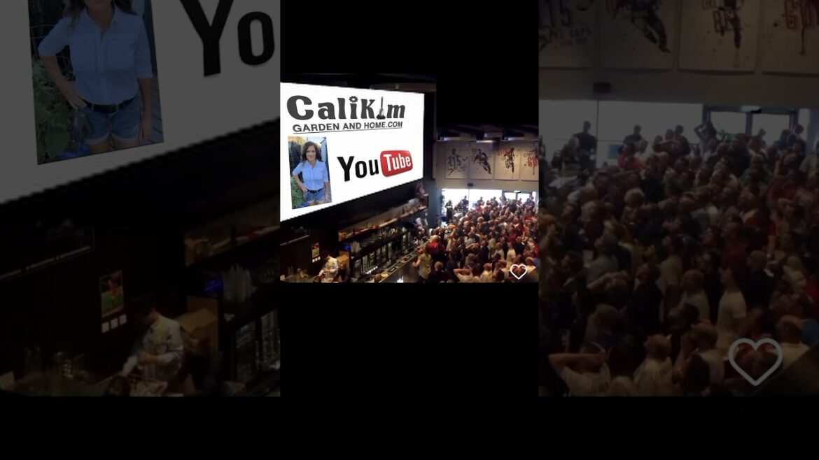 Tuesday on YouTube be like…