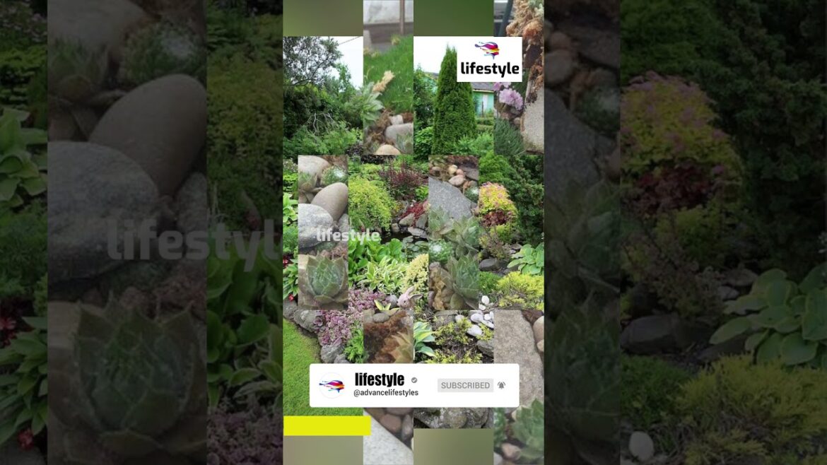 Garden Design Software: A Complete Guide #shorts #youtubeshorts #viralshorts Garden Design Software: A Complete Guide #shorts #youtubeshorts #viralshorts