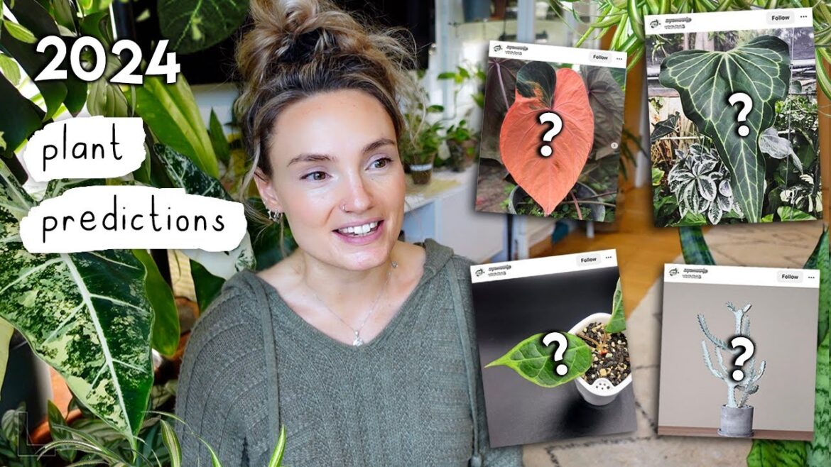 The “IT” Plants of 2024 🌱 Amazing Houseplants Predicted To Trend In The Next Year The "IT" Plants of 2024 🌱 Amazing Houseplants Predicted To Trend In The Next Year