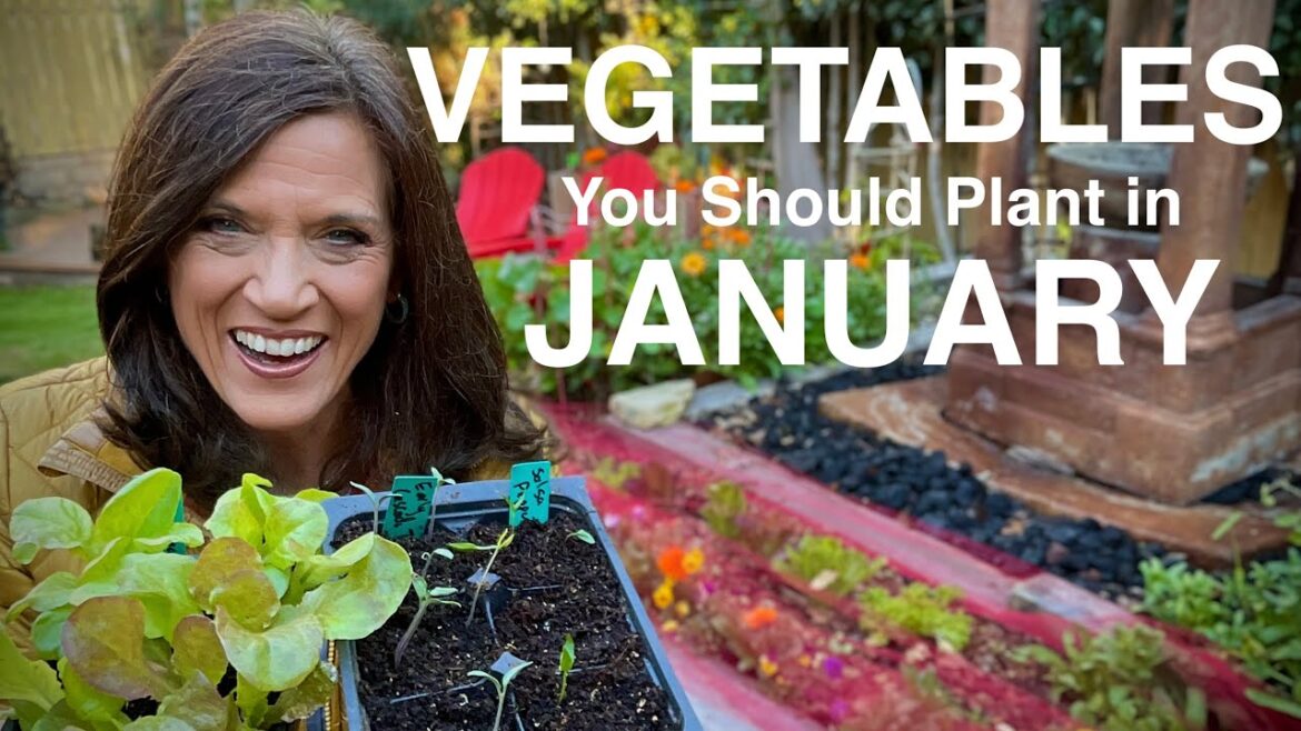 Vegetables You Should Plant NOW In January