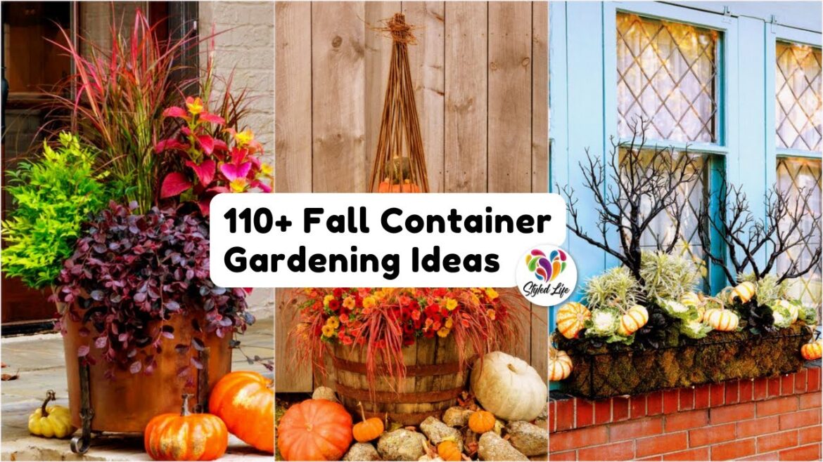 Fall Container Gardening Ideas! 110+ Creative Planters for Fall Season! Fall Container Gardening Ideas! 110+ Creative Planters for Fall Season!