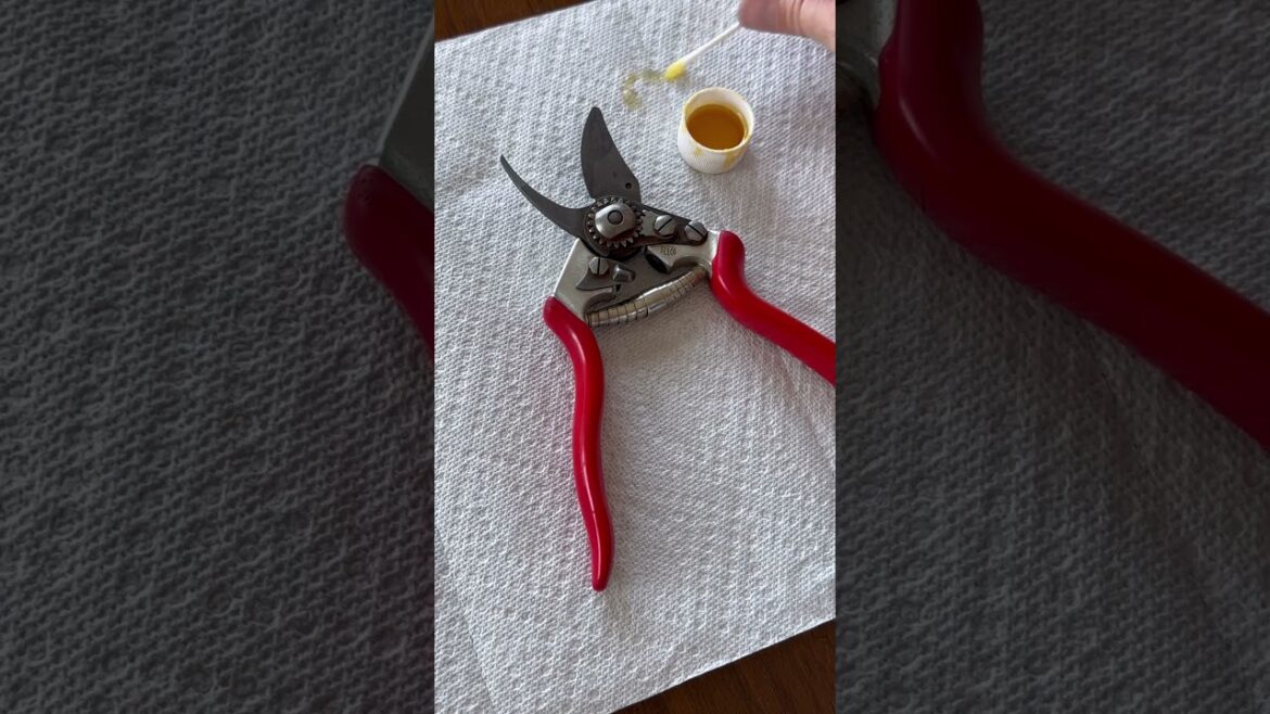 How To Clean Garden Pruners Without Harsh Chemicals #gardening #gardentips #pruning How To Clean Garden Pruners Without Harsh Chemicals #gardening #gardentips #pruning