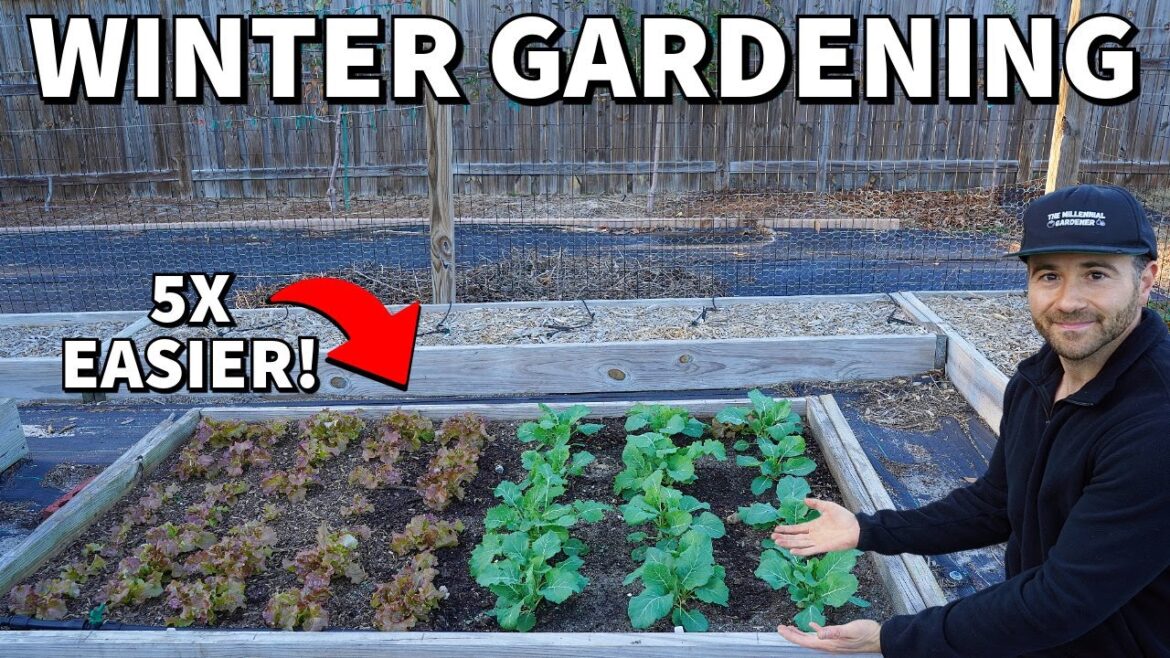5 Reasons Why Winter Gardening Is BETTER Than Summer Gardening! 5 Reasons Why Winter Gardening Is BETTER Than Summer Gardening!