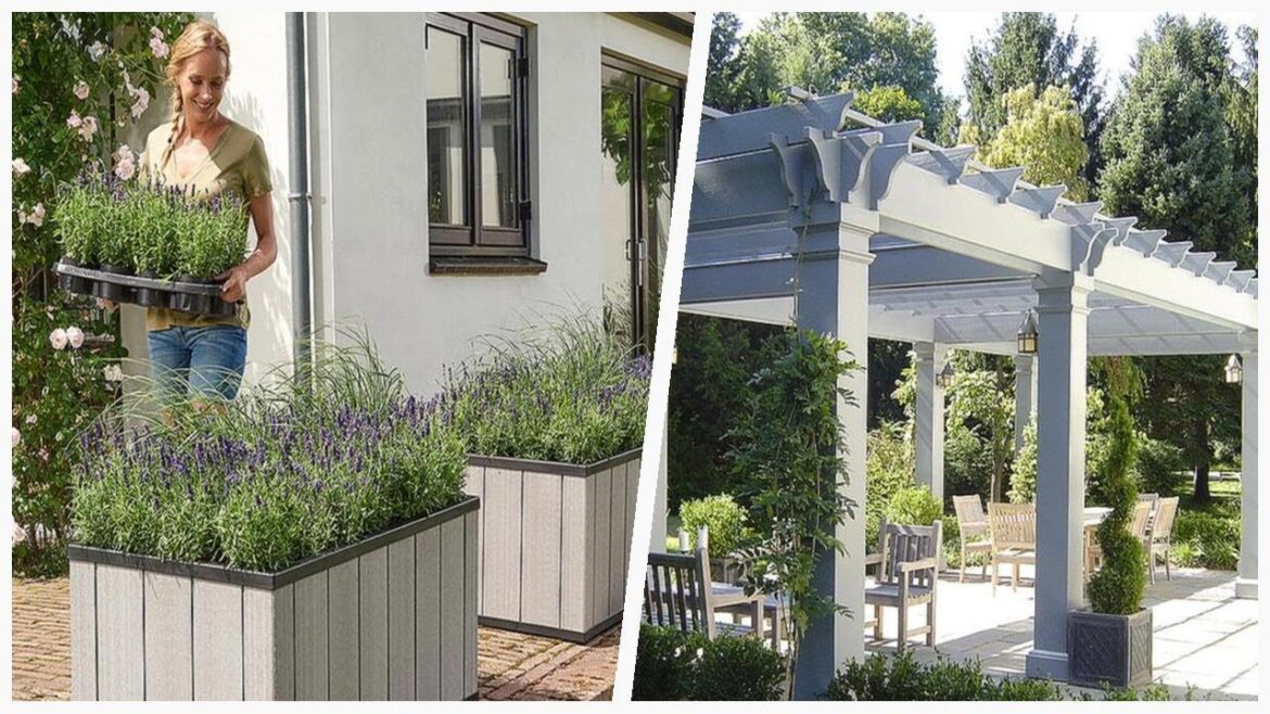 75 Green Patio Container Garden Design Ideas You'll Love 😊