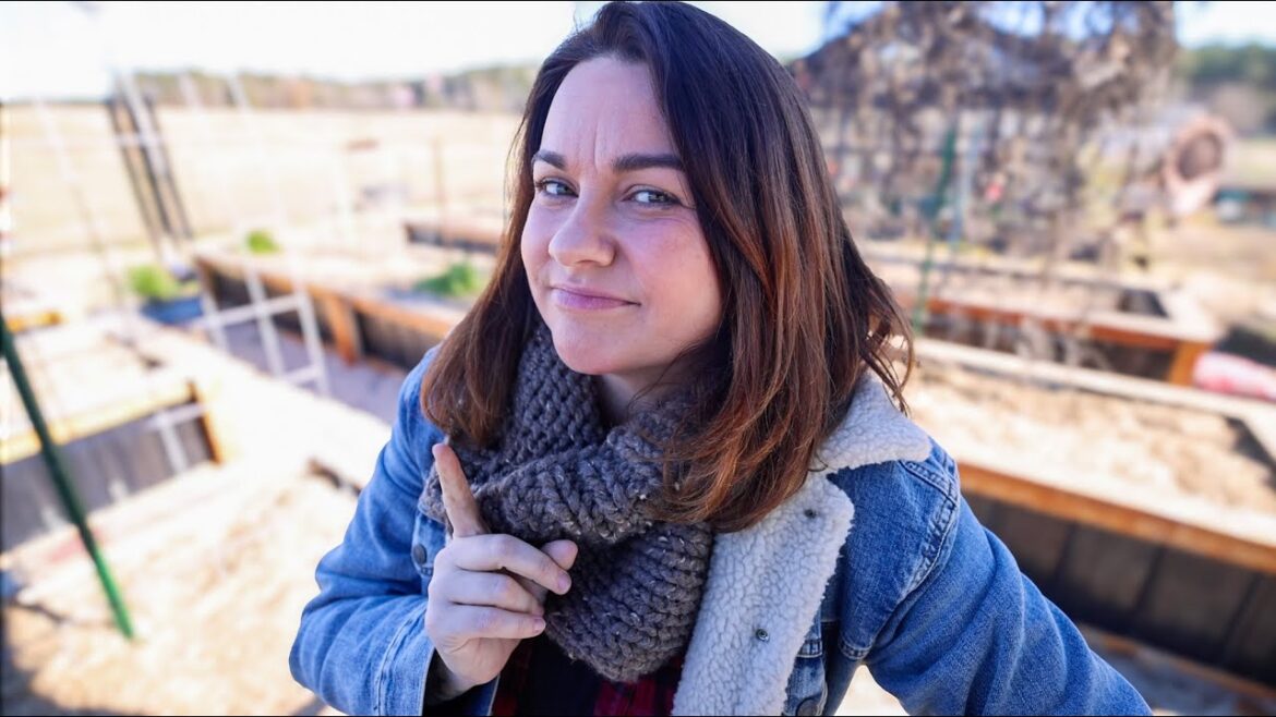 Roots and Refuge Farm: Should you bother with vegetable gardening? Should you bother with vegetable gardening?