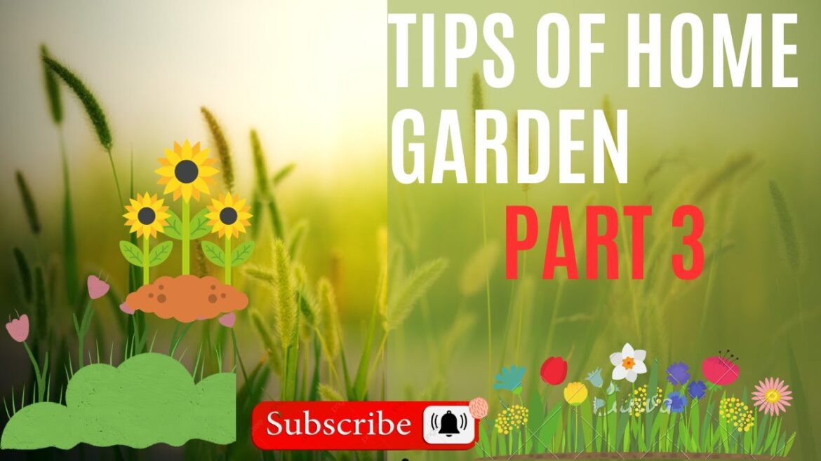 All information about all plants that in my home garden All information about all plants that in my home garden