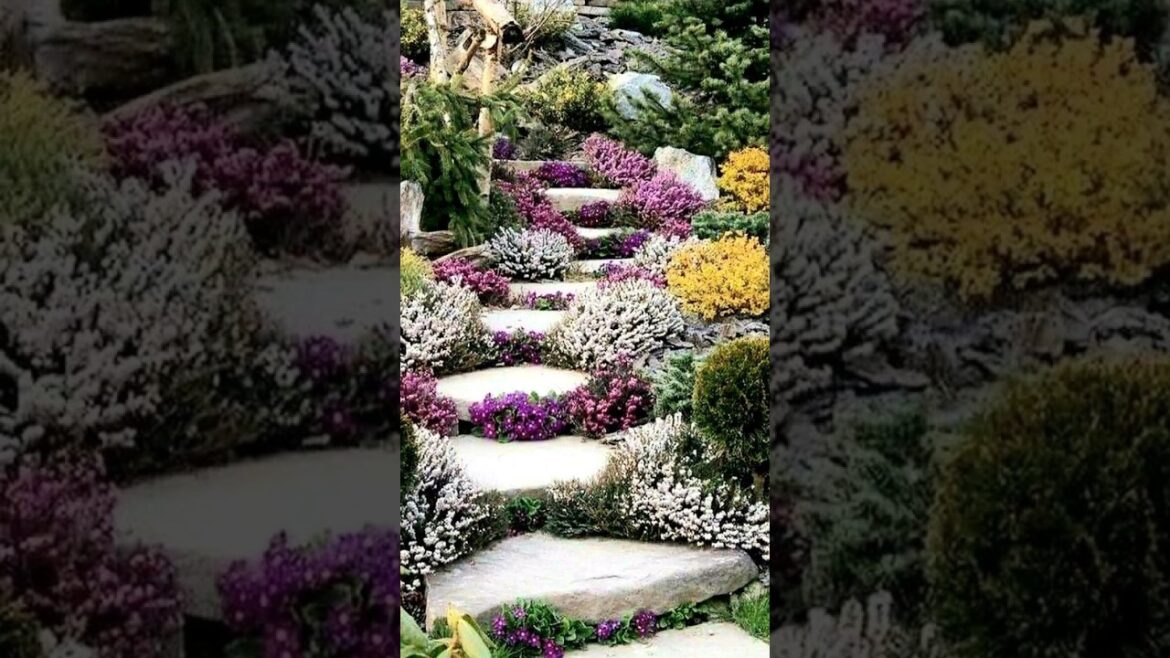 Garden ideas