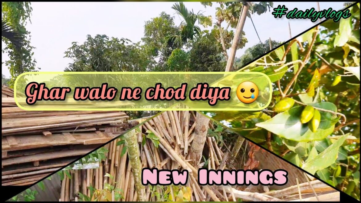 Ghar Walo Ne chod diya || New Innings #dailyvlogs