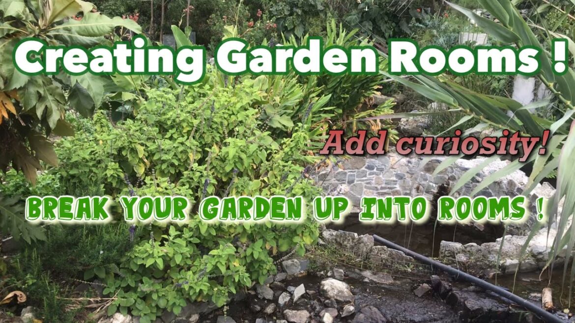 Garden design needs to include garden rooms to be more curious. The surprise element is crucial to.. Garden design needs to include garden rooms to be more curious. The surprise element is crucial to..