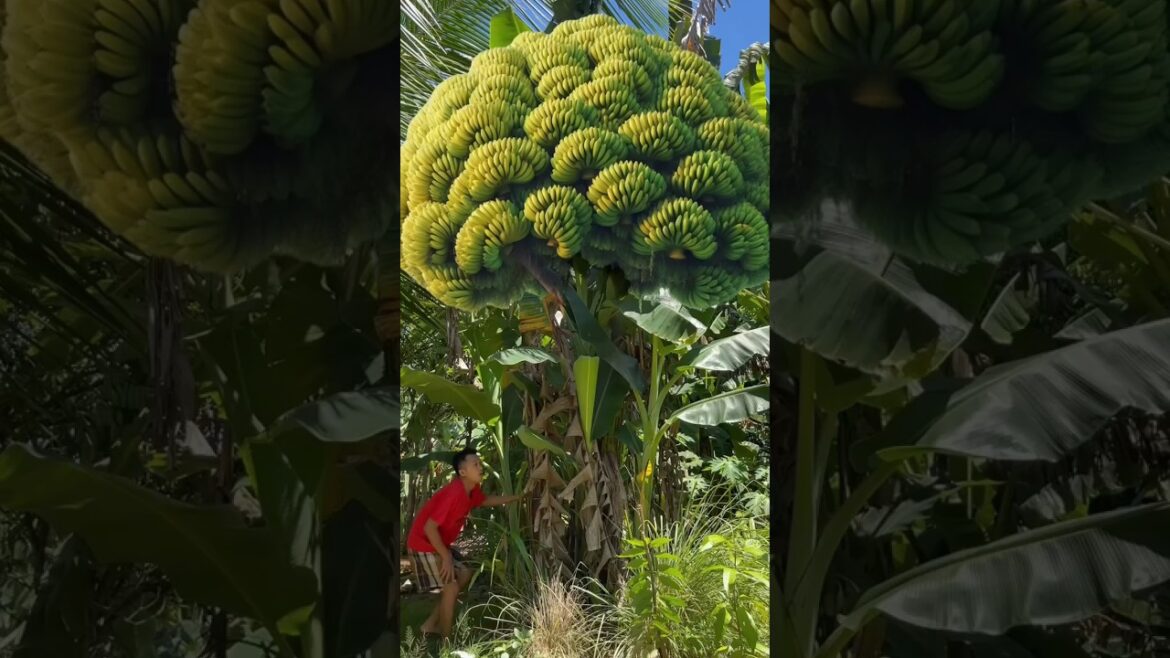 Boring To Interesting Craft #shorts #youtubeshorts #viral Boring To Interesting Craft #shorts #youtubeshorts #viral